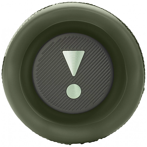 Портативная Bluetooth колонка JBL Flip 6 camo