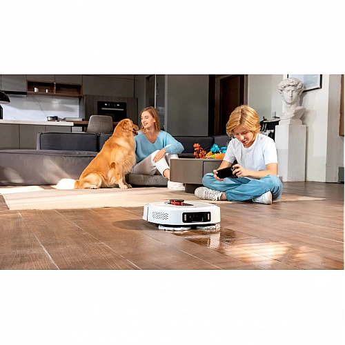 Робот-пылесос Roidmi EVA Self-Cleaning and Emptying Robot Vacuum & Clean Base (SDJ06RM+JCZ06RM)