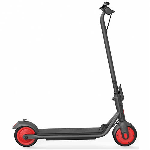 Электросамокат Ninebot KickScooter C20