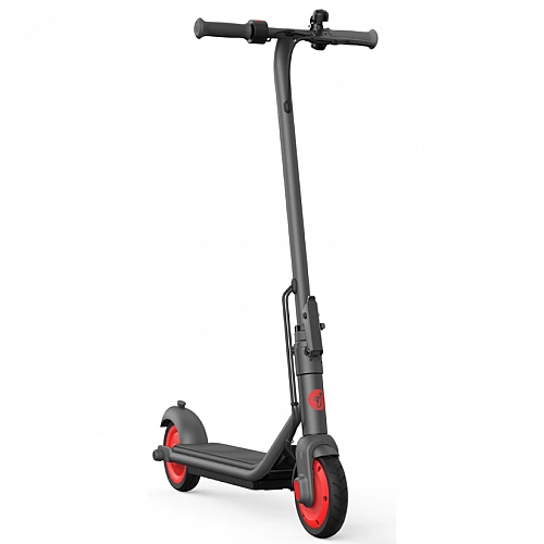 Электросамокат Ninebot KickScooter C20