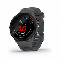 Умные часы Garmin Forerunner 55 (серый)