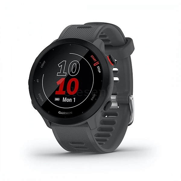 Умные часы Garmin Forerunner 55 (серый)